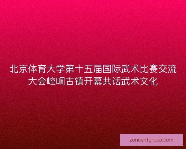 北京体育大学第十五届国际武术比赛交流大会崆峒古镇开幕共话武术文化